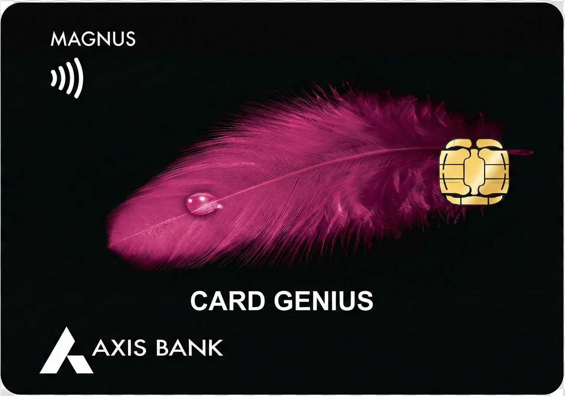 Axis Bank Burgundy Private Credit Card